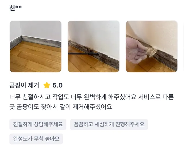 실제 고객 후기
