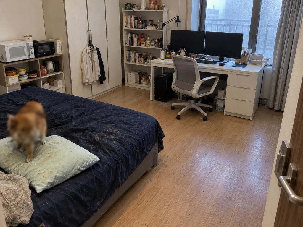금천구 쓰레기집청소 침실 청소 후