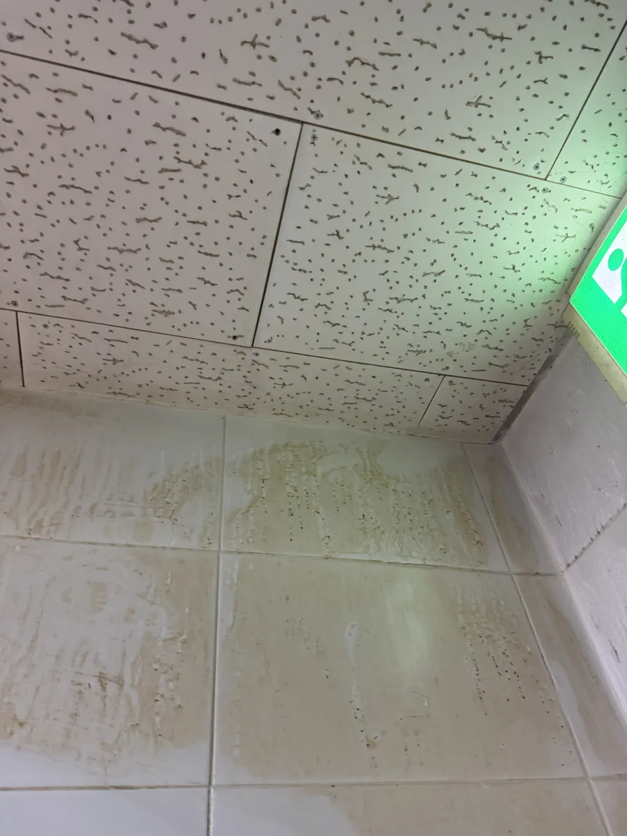 안양 학생식당 뷔페 주방 후드청소 작업 전, 얼룩이 남은 후드 위 천장과 벽 타일