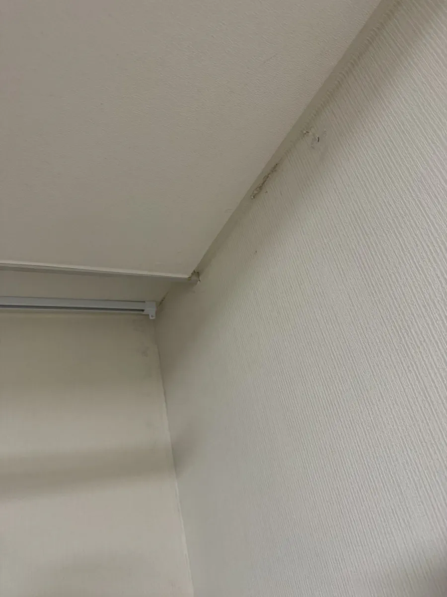 서울 송파구 잠실 실내 곰팡이제거 작업 전, 천장과 벽 모서리 곰팡이