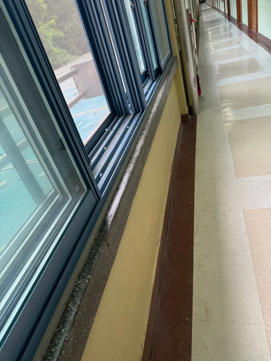 파주 고등학교 학교청소 작업 후, 창가를 따라 이어진 복도
