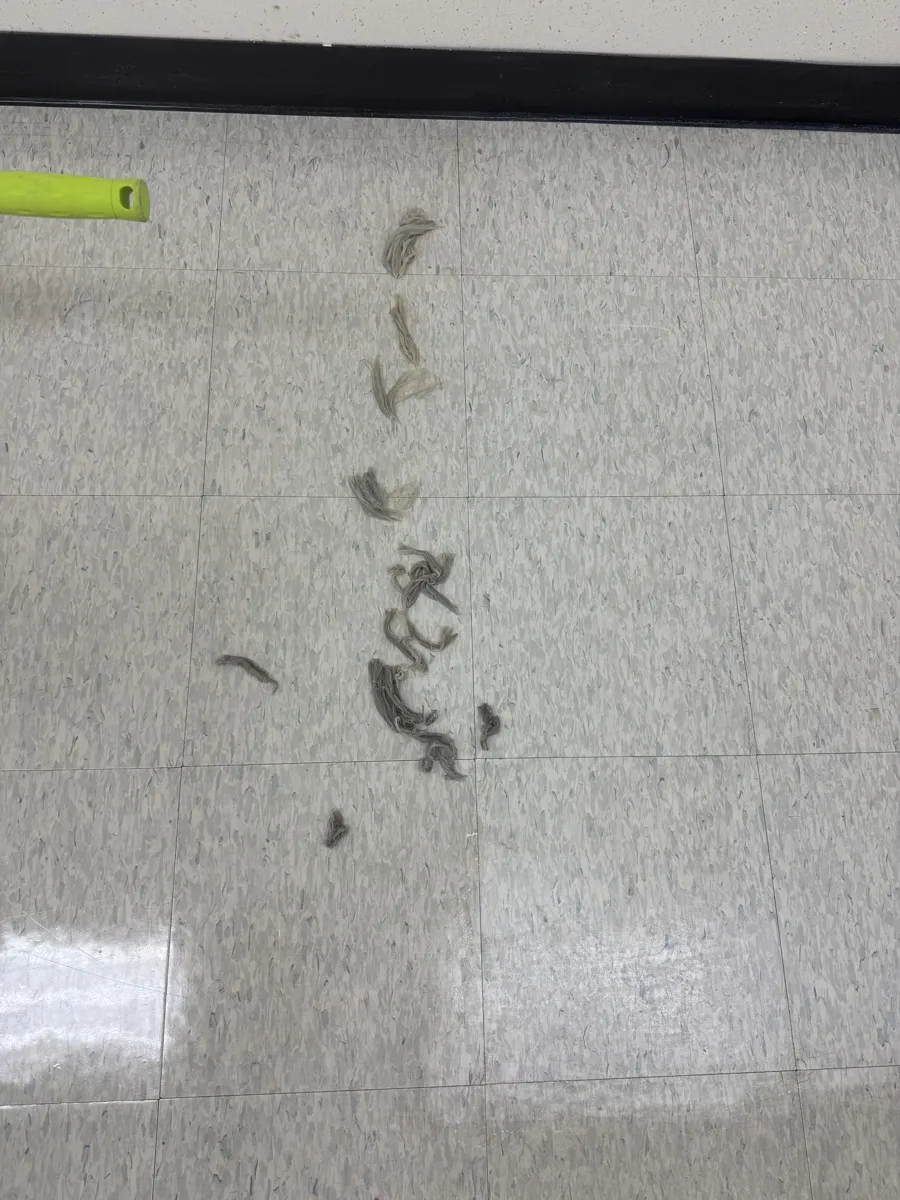 서울 송파구 사무 공간 바닥왁스코팅 작업 중, 벗겨져 나온 기존 왁스