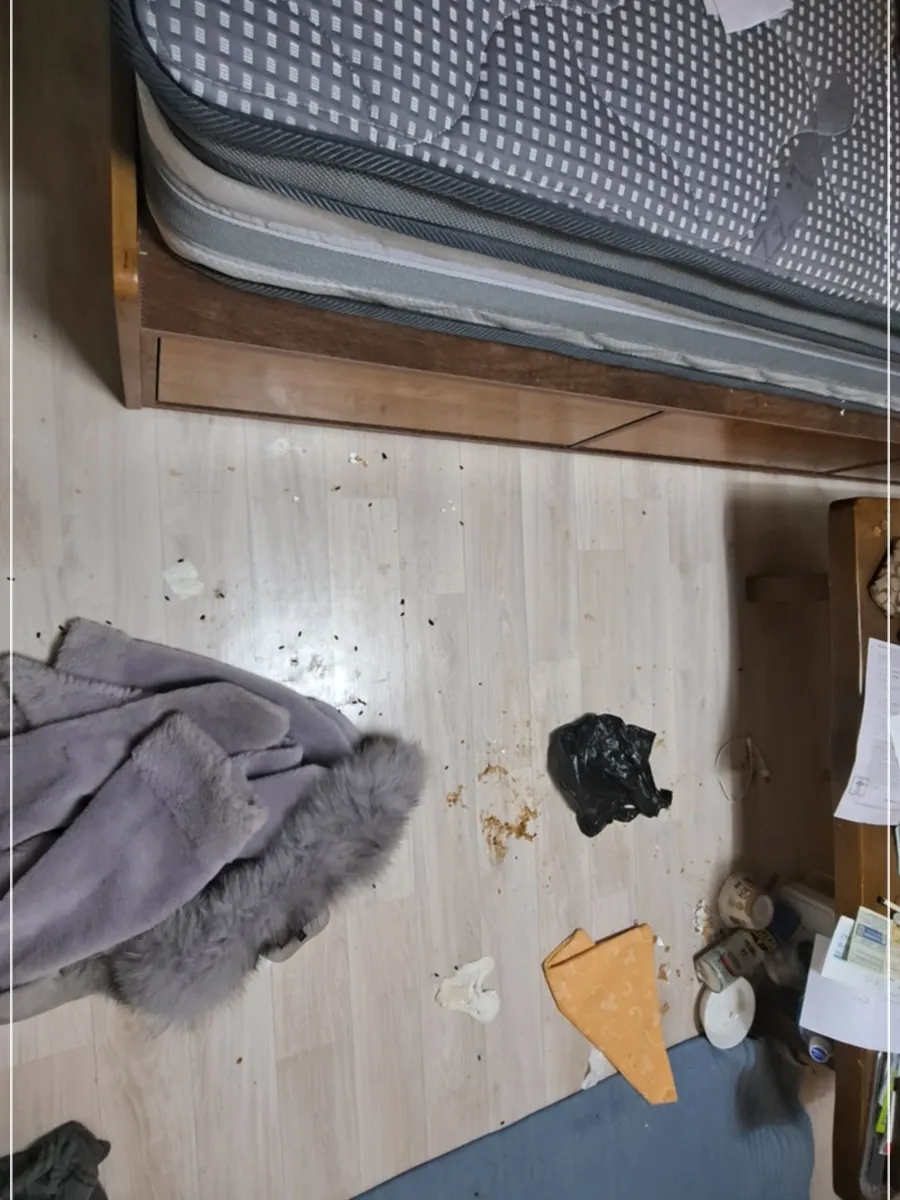 수원 가정집 고독사청소 작업 전, 침대 옆 바닥에 남은 오염