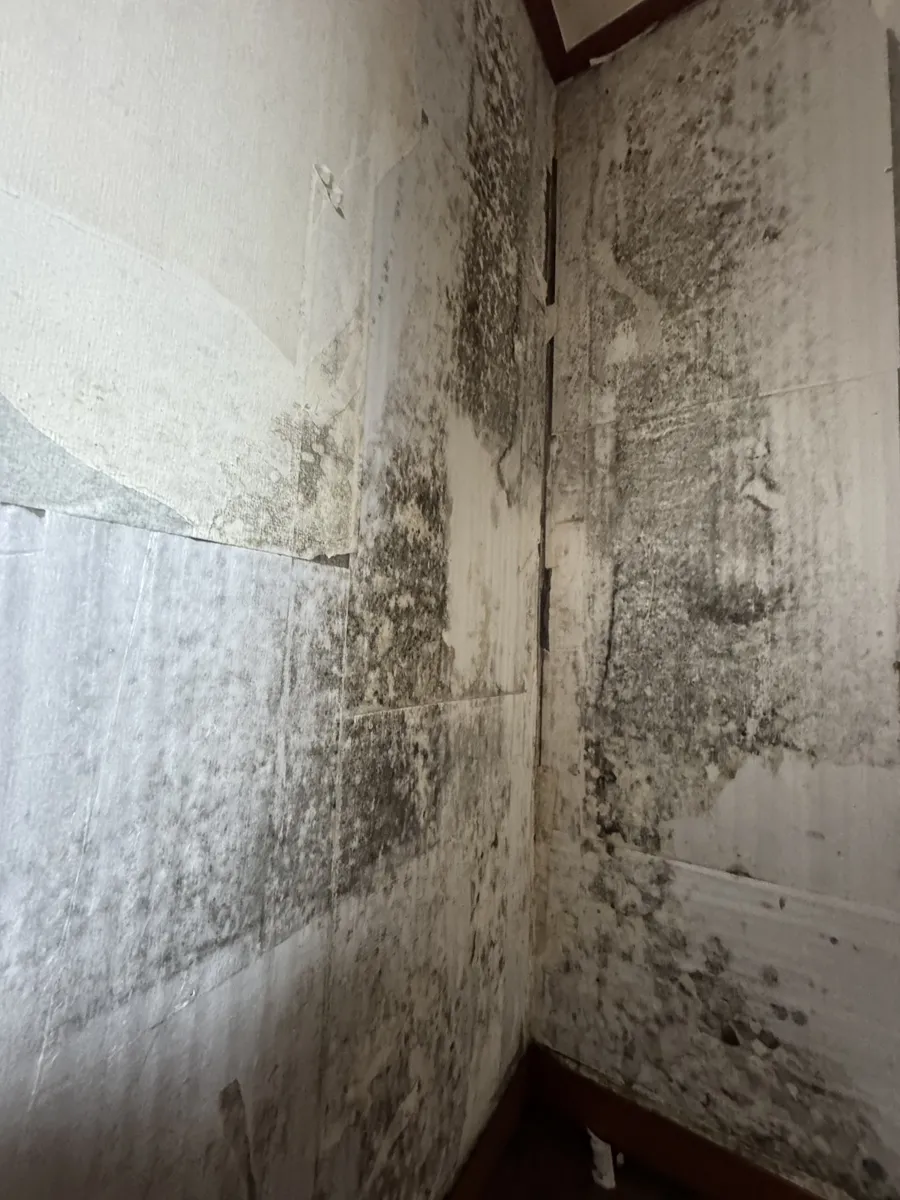 서울 양천구 실내 곰팡이제거 작업 전, 모서리까지 번진 벽면 곰팡이